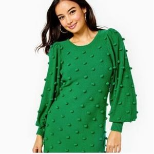 Lilly Pulitzer Kippa Sweater Dress in Fern Gully Green, size M, NWT